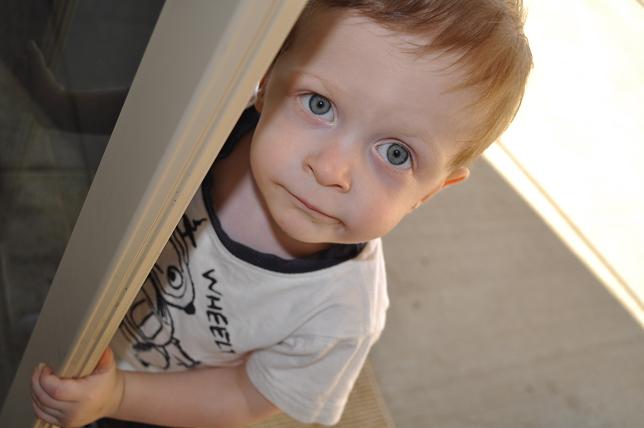 jaxon-at-back-door