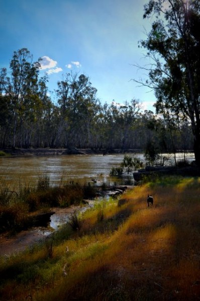 barmah-11-09-147